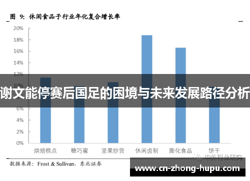 谢文能停赛后国足的困境与未来发展路径分析