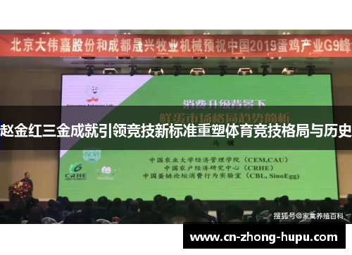 赵金红三金成就引领竞技新标准重塑体育竞技格局与历史